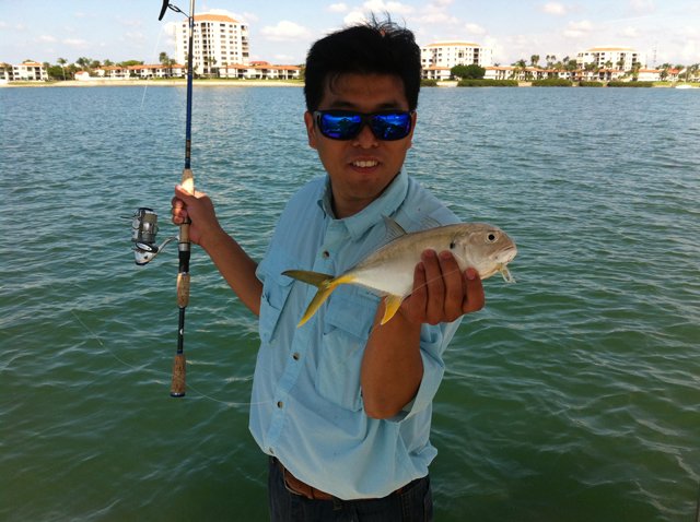 fishing lure plastic