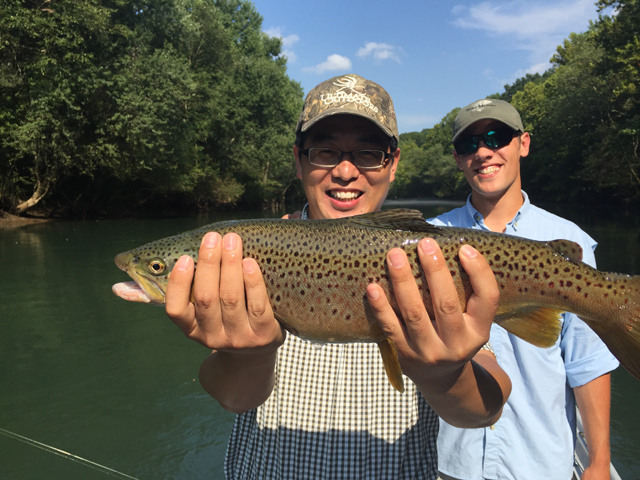great trout fishing bait