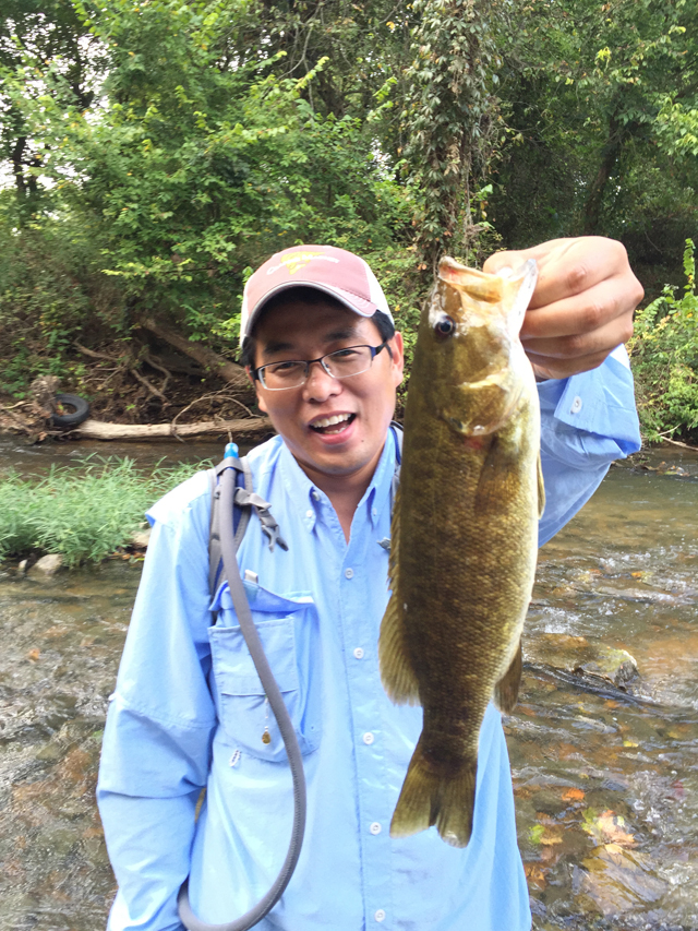 rockbass fishing lures