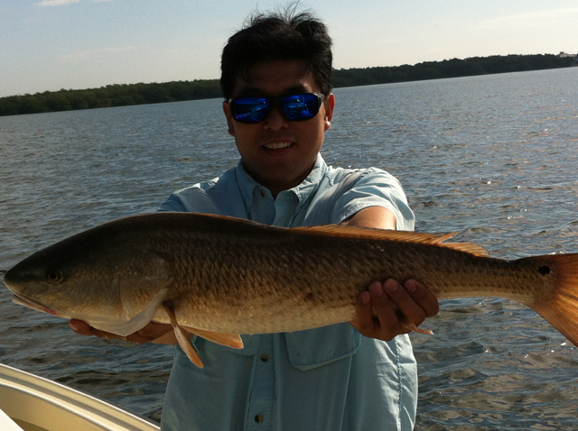 saltwater fishing lure directory