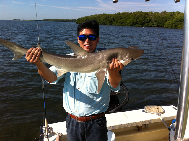 saltwater fishing lure setup